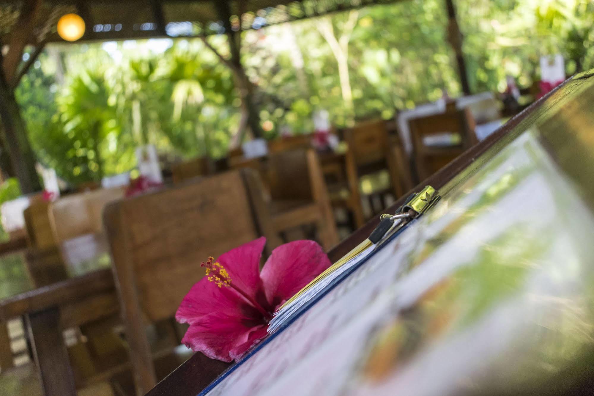 Atlantida Lodge Cahuita Exteriör bild